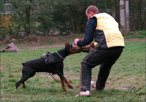 Training in Prague 10/2007